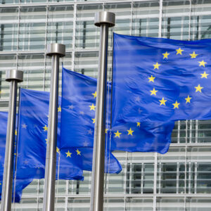 Learning from European Counterparts: Strategies for Successful Horizon Europe Bids (Online)